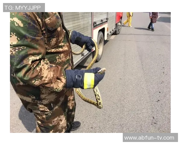 足球场上意外露鸟瞬间引发热议网友纷纷围观讨论趣事